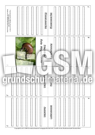 Faltbuch-Rote-Wegschnecke.pdf